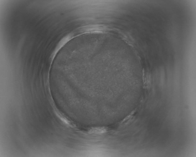 X0000054370099200508262352