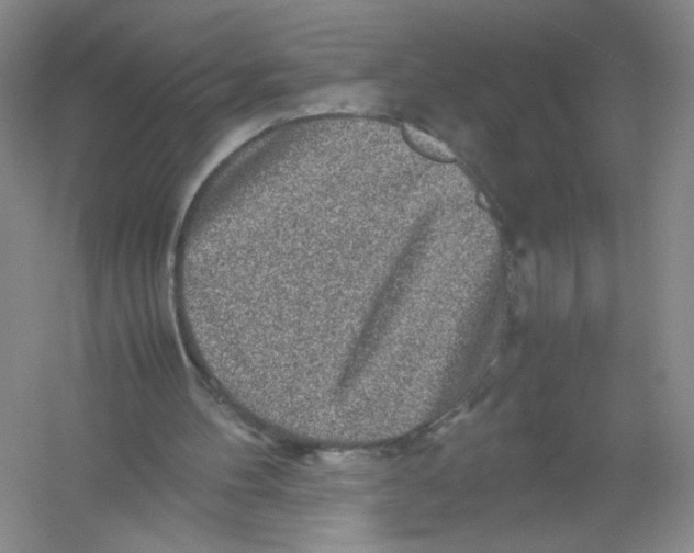 X0000054370100200508262352