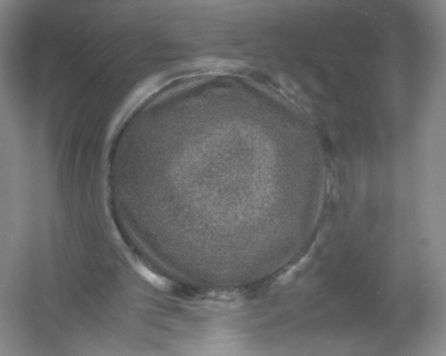 X0000054370101200508262352