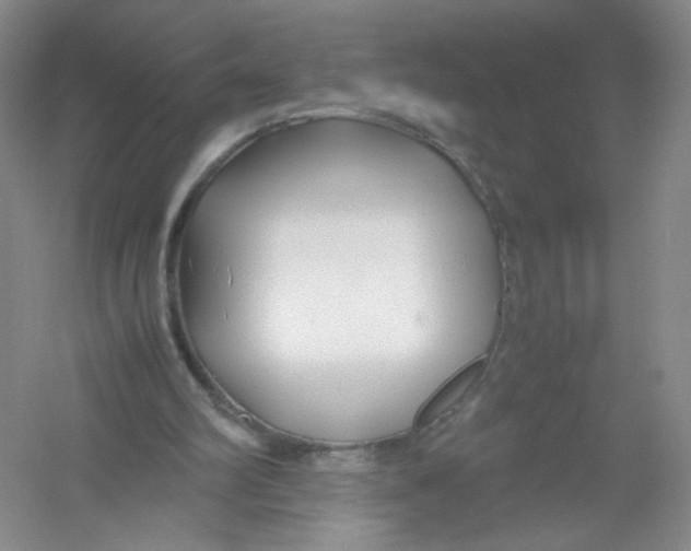 X0000054370102200508262352