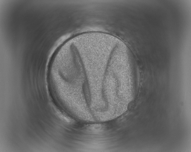 X0000054370104200508262352