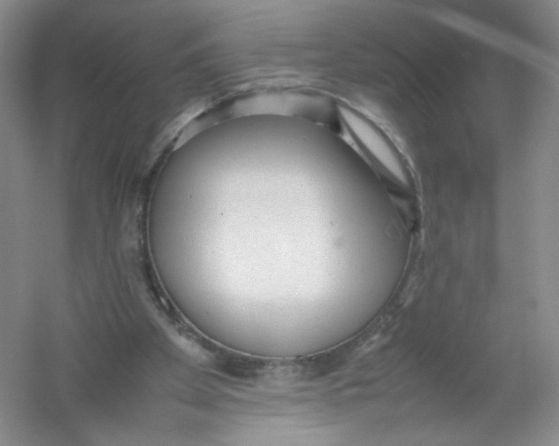 X0000054370105200508262352