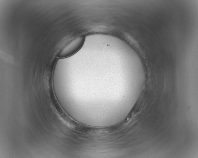 X0000054370106200508262351