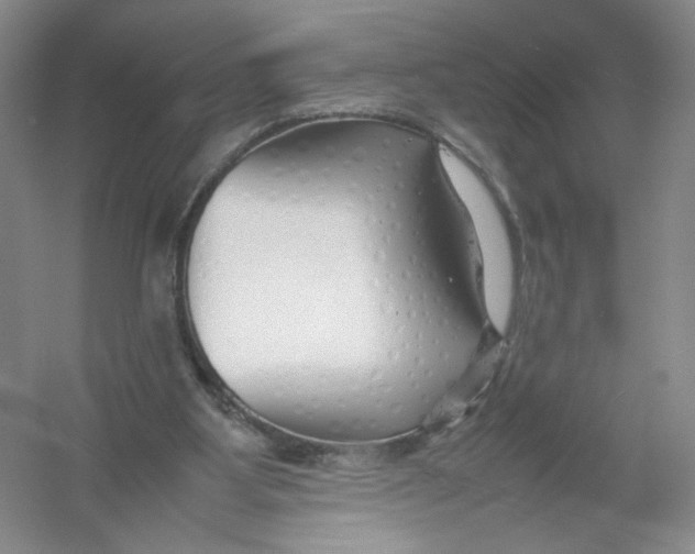 X0000054370107200508262351