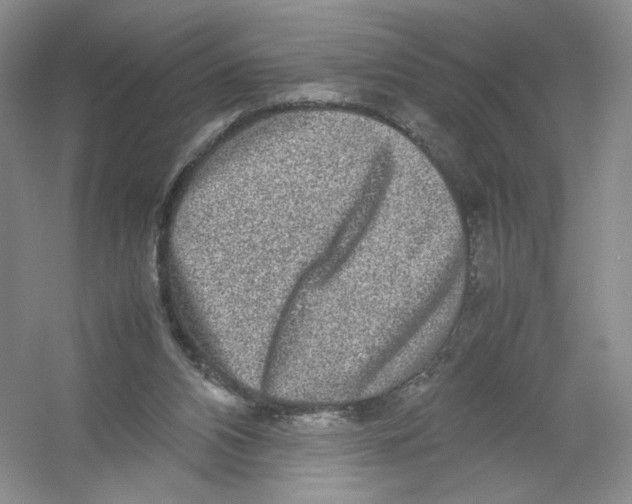 X0000054370112200508262351