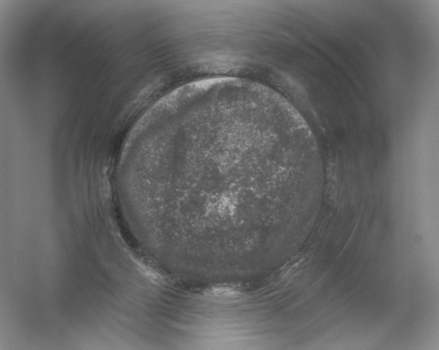 X0000054370114200508262351