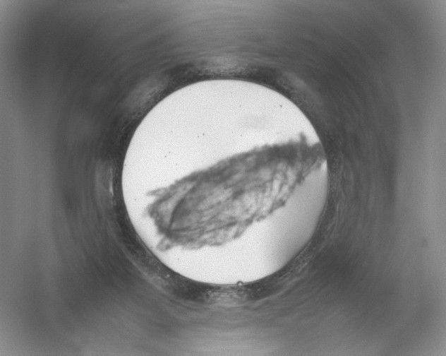 X0000054370115200508262351