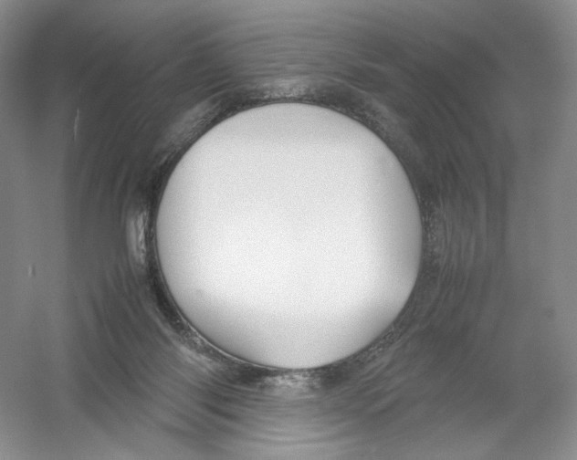 X0000054370118200508262351