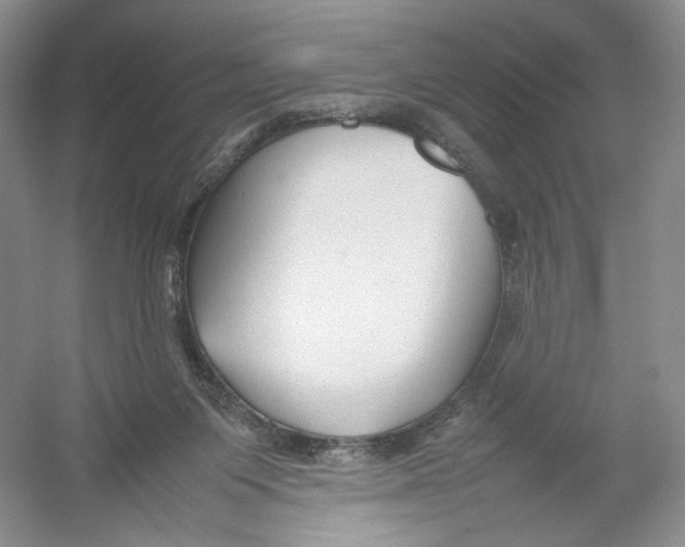 X0000054370119200508262351