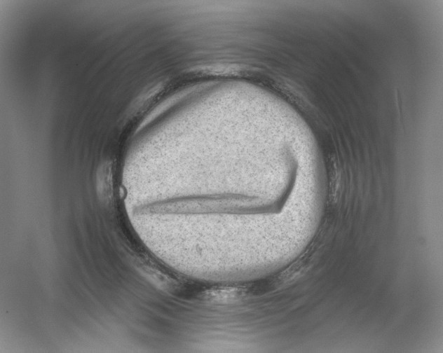 X0000054370120200508262351