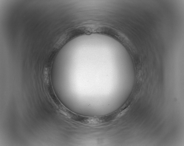 X0000054370121200508262351