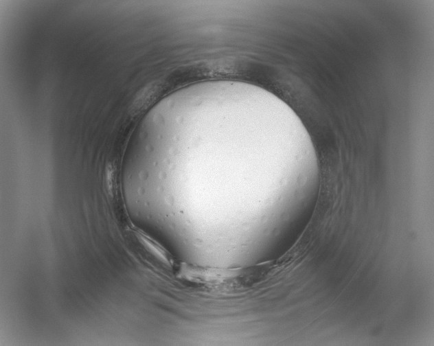 X0000054370123200508262351