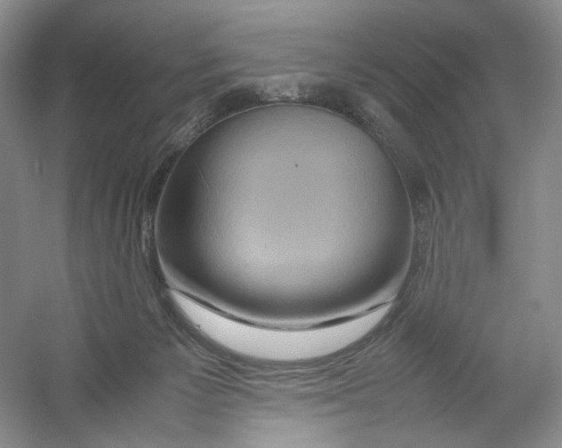 X0000054370125200508262351