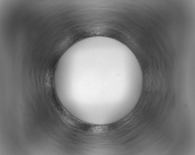 X0000054370126200508262351