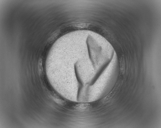 X0000054370128200508262351