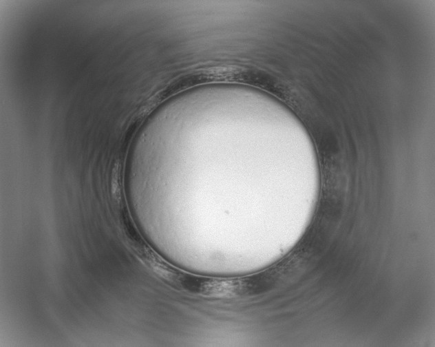 X0000054370131200508262351