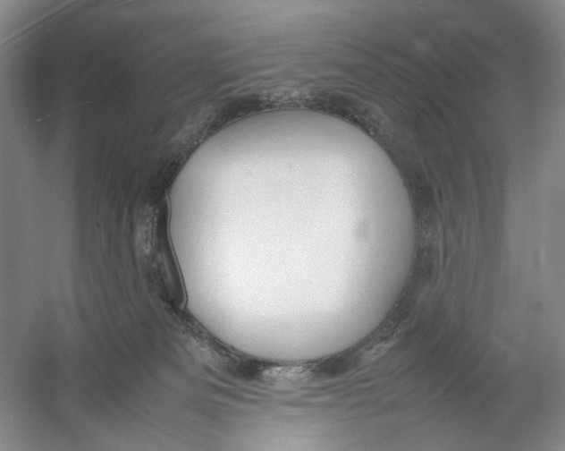 X0000054370133200508262351