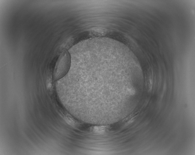 X0000054370134200508262351