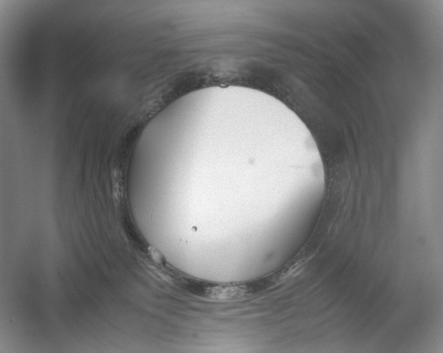 X0000054370135200508262351