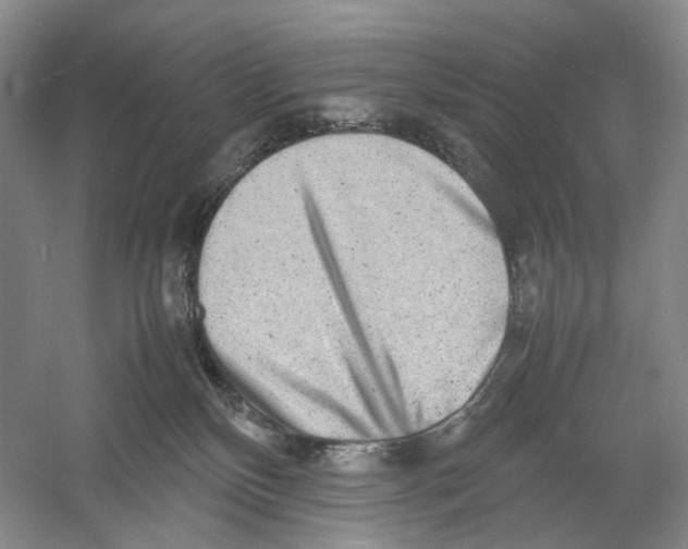 X0000054370136200508262351