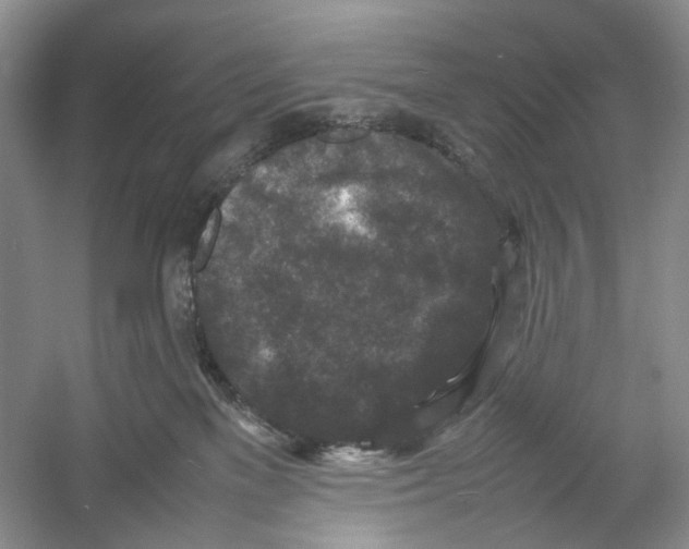 X0000054370137200508262351