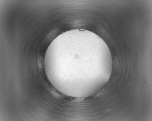 X0000054370138200508262351