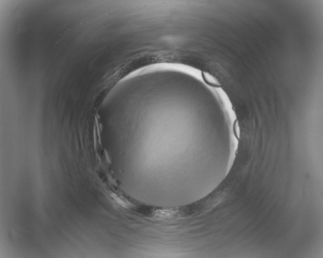 X0000054370139200508262351