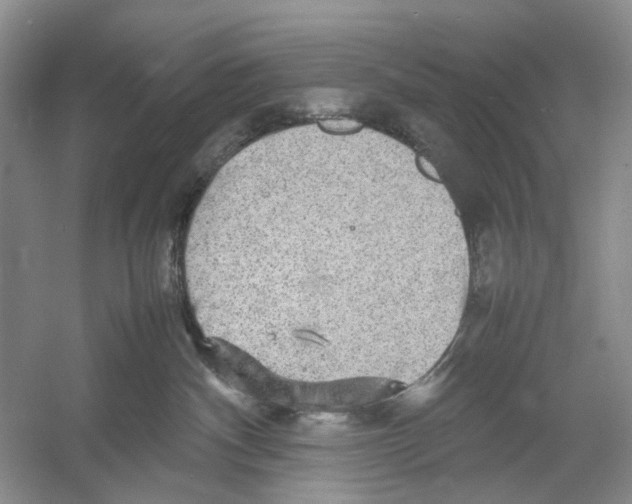 X0000054370140200508262351