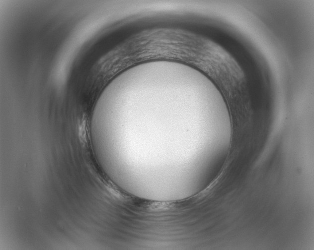 X0000054370142200508262351