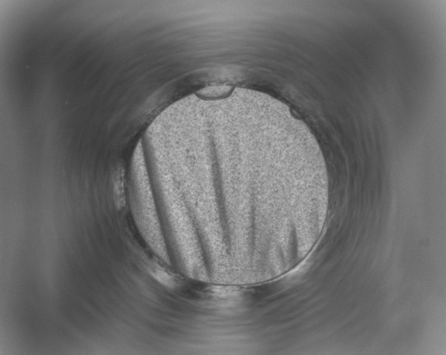 X0000054370144200508262351