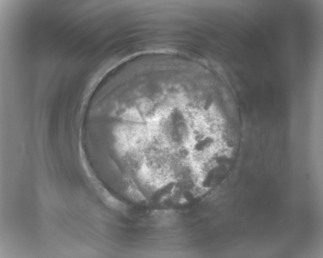 X0000054370145200508262350