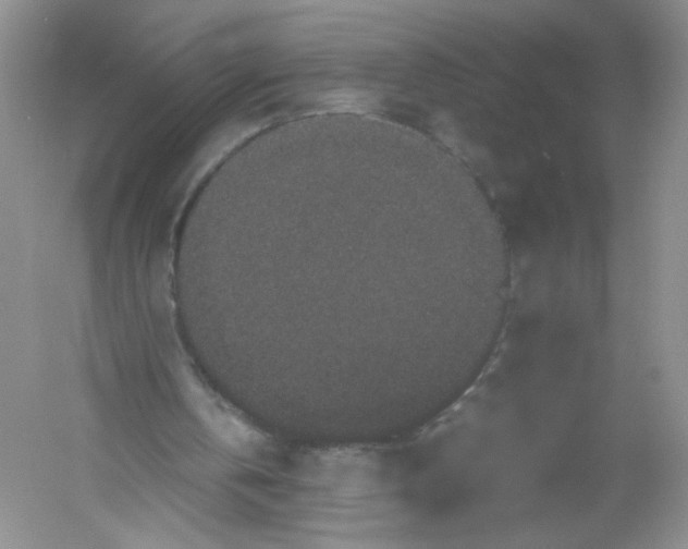 X0000054370146200508262350