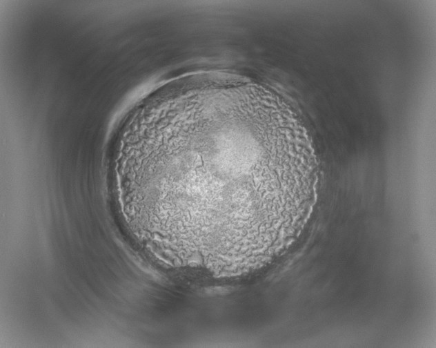 X0000054370149200508262350