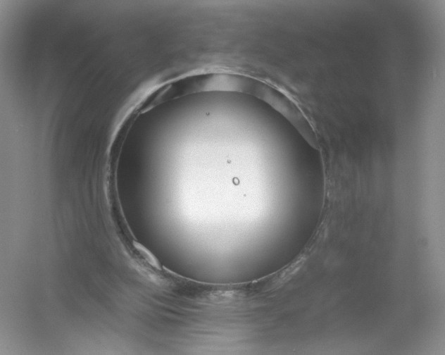 X0000054370152200508262350