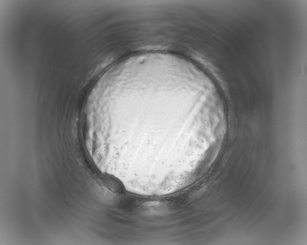 X0000054370153200508262350