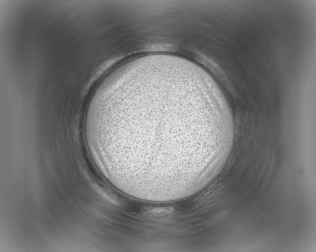 X0000054370155200508262350