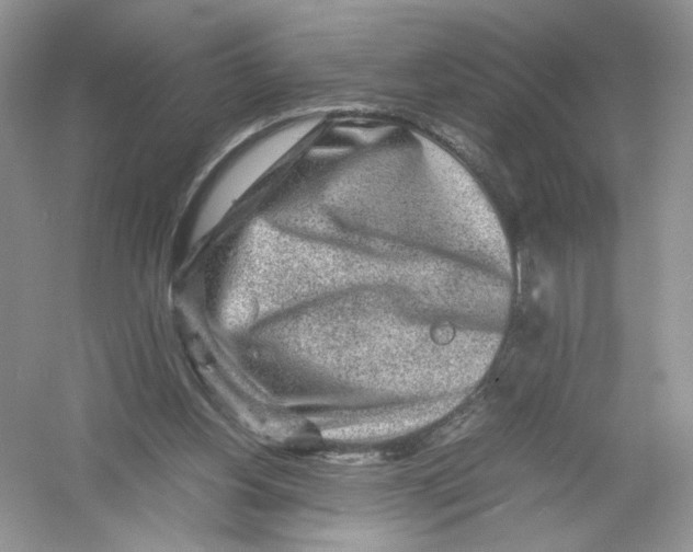 X0000054370156200508262350