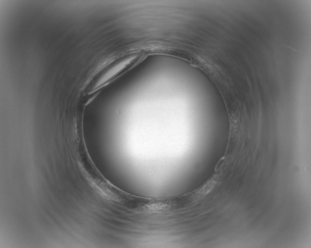 X0000054370158200508262350