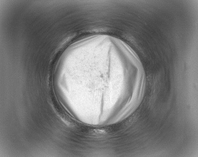 X0000054370159200508262350