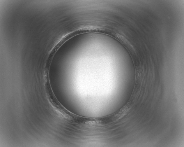 X0000054370160200508262350