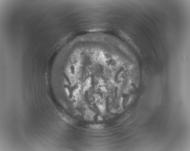 X0000054370161200508262350