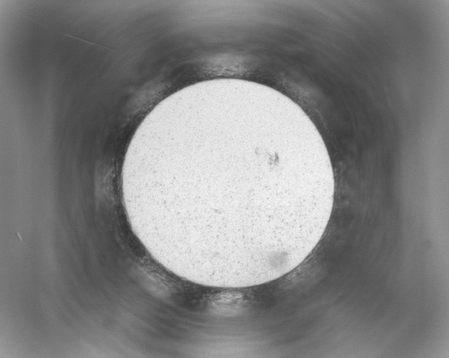 X0000054370162200508262350