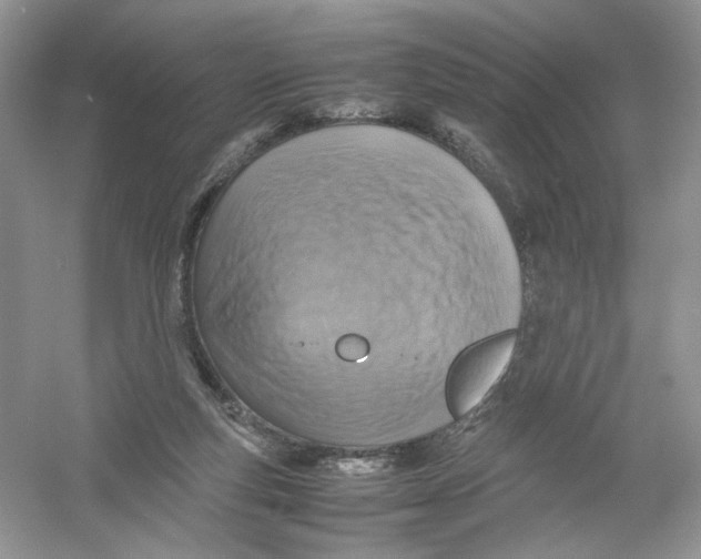 X0000054370163200508262350