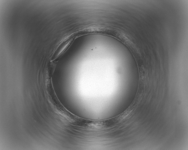 X0000054370164200508262350