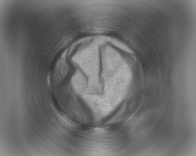 X0000054370166200508262350