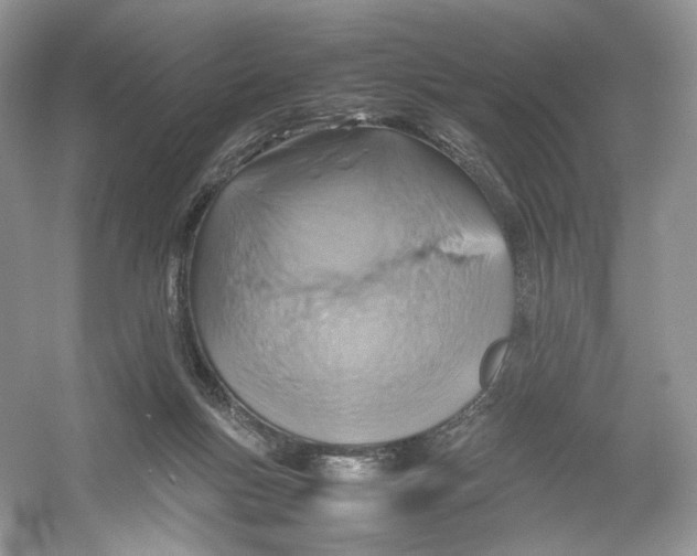 X0000054370167200508262350