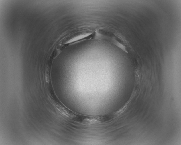 X0000054370170200508262350