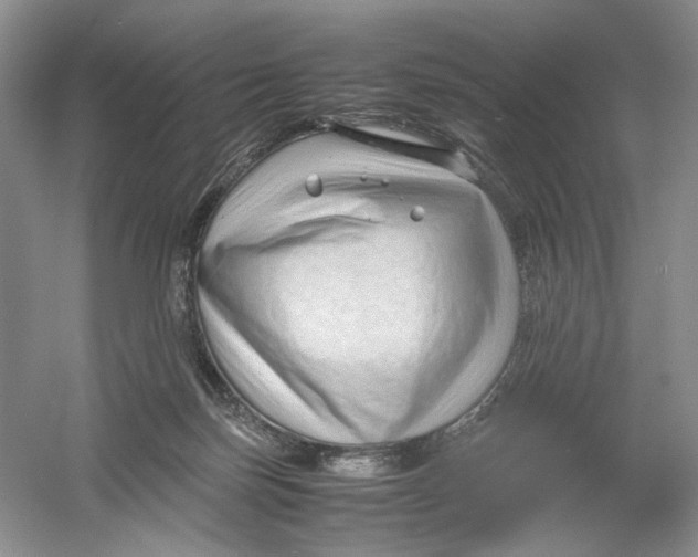 X0000054370171200508262350