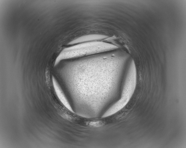 X0000054370173200508262350