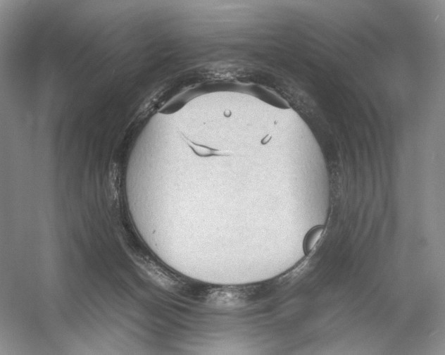 X0000054370174200508262351